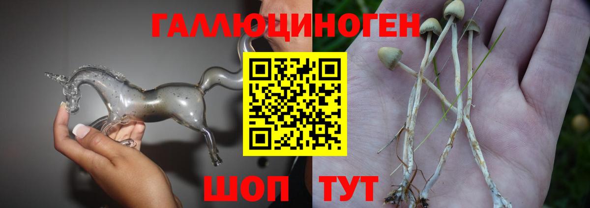Псилоцибиновые грибы прущие грибы  Вход с VPN  Галлюциногенные грибы ЛСД  Фрязино 